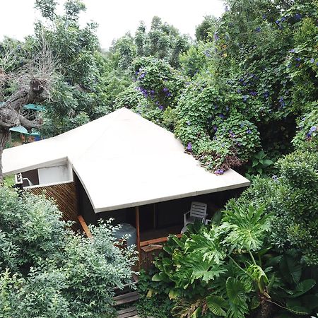 Mali Boutique Lodge & Tube 'N Axe Budget Accommodation Stormsrivier Room photo