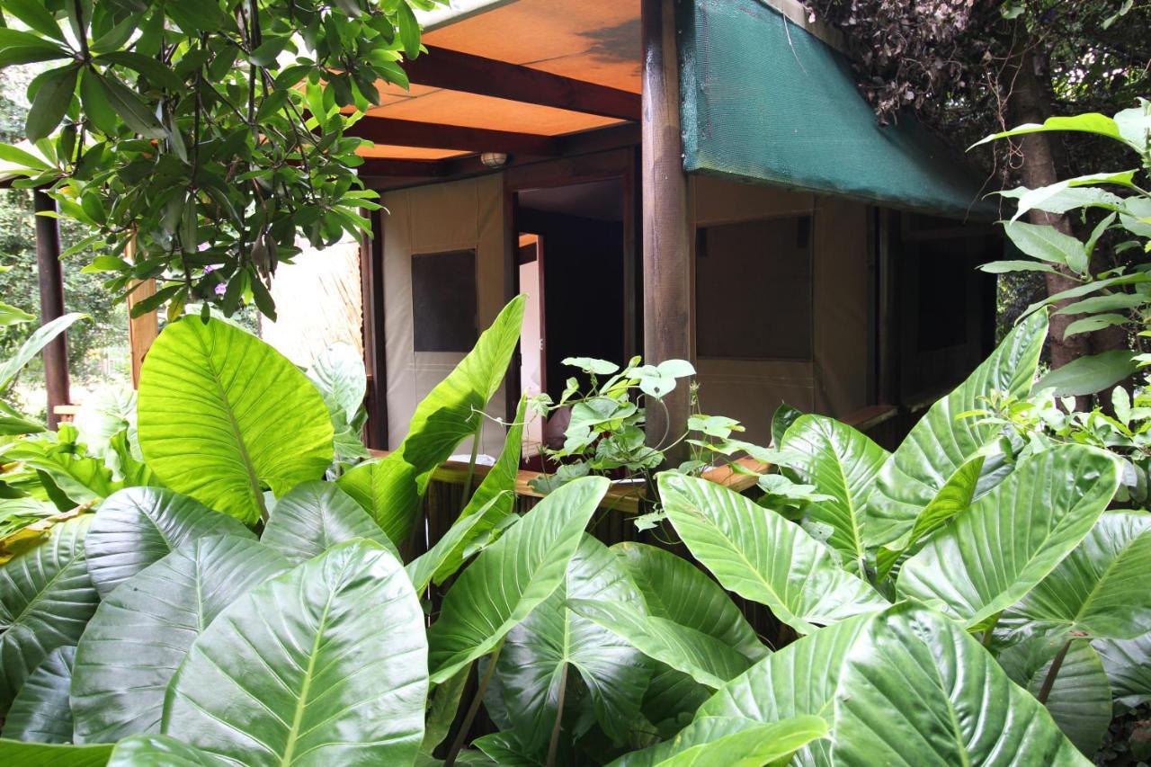 Mali Boutique Lodge & Tube 'N Axe Budget Accommodation Stormsrivier Exterior photo